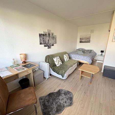 Studio Rdc Calme Avec Parking Ferme Pres Autoroute Et Tram C Mulhouse Exterior foto