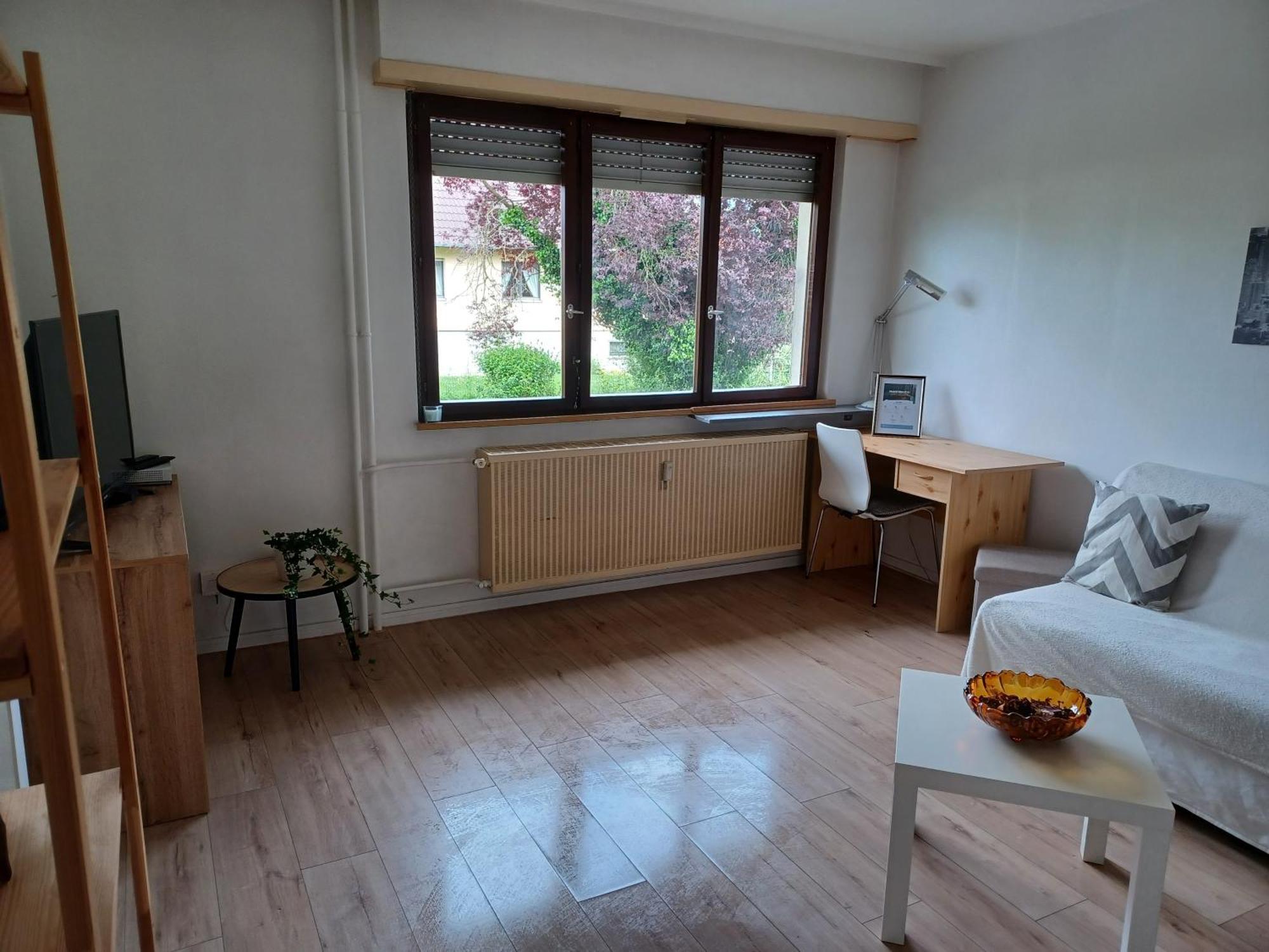 Studio Rdc Calme Avec Parking Ferme Pres Autoroute Et Tram C Mulhouse Exterior foto