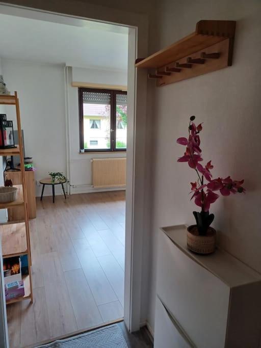 Studio Rdc Calme Avec Parking Ferme Pres Autoroute Et Tram C Mulhouse Exterior foto