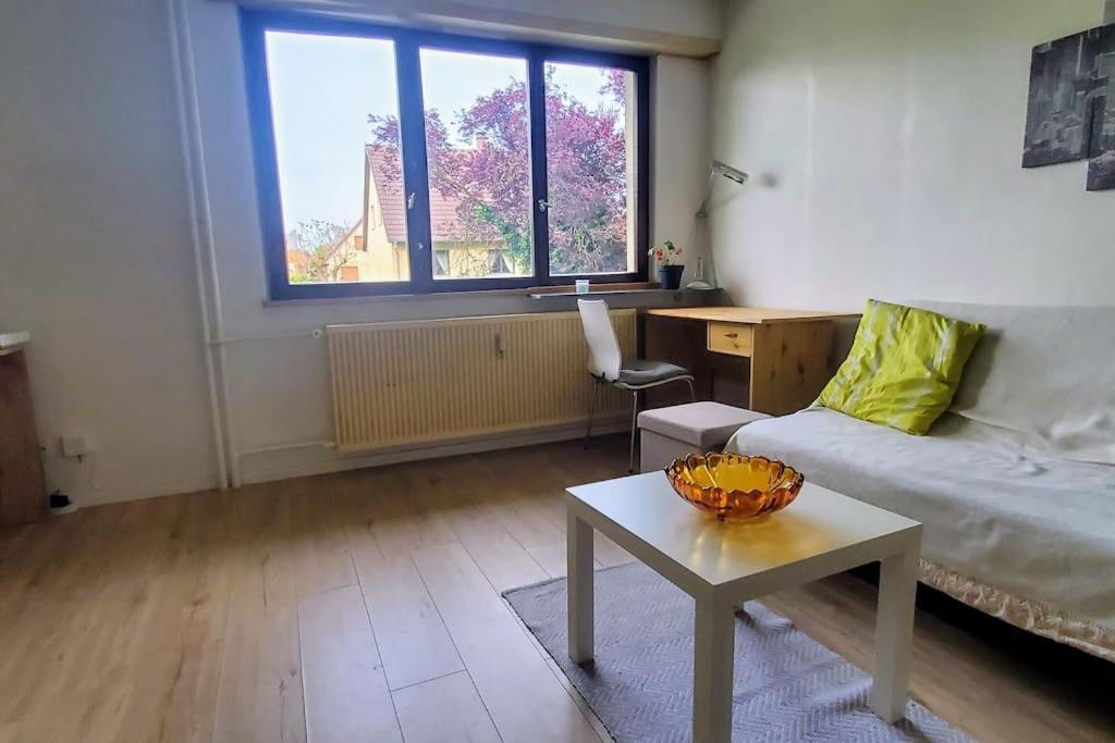 Studio Rdc Calme Avec Parking Ferme Pres Autoroute Et Tram C Mulhouse Exterior foto