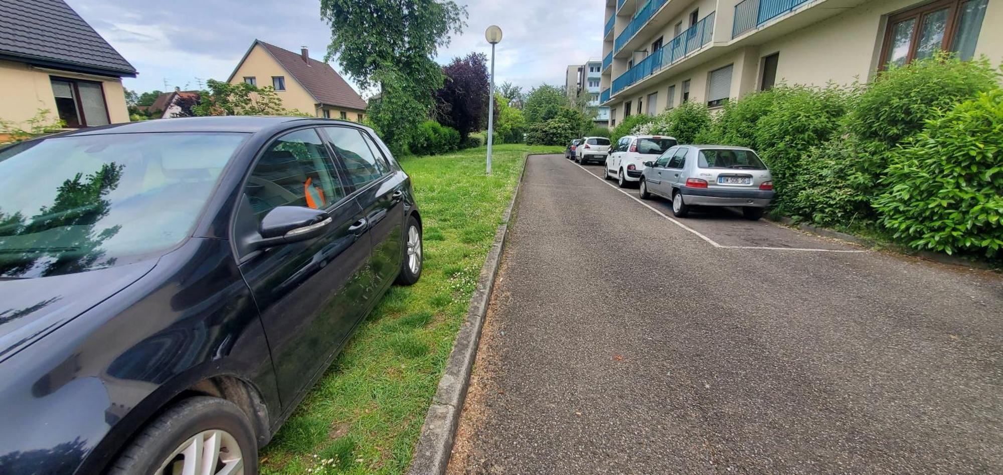 Studio Rdc Calme Avec Parking Ferme Pres Autoroute Et Tram C Mulhouse Exterior foto