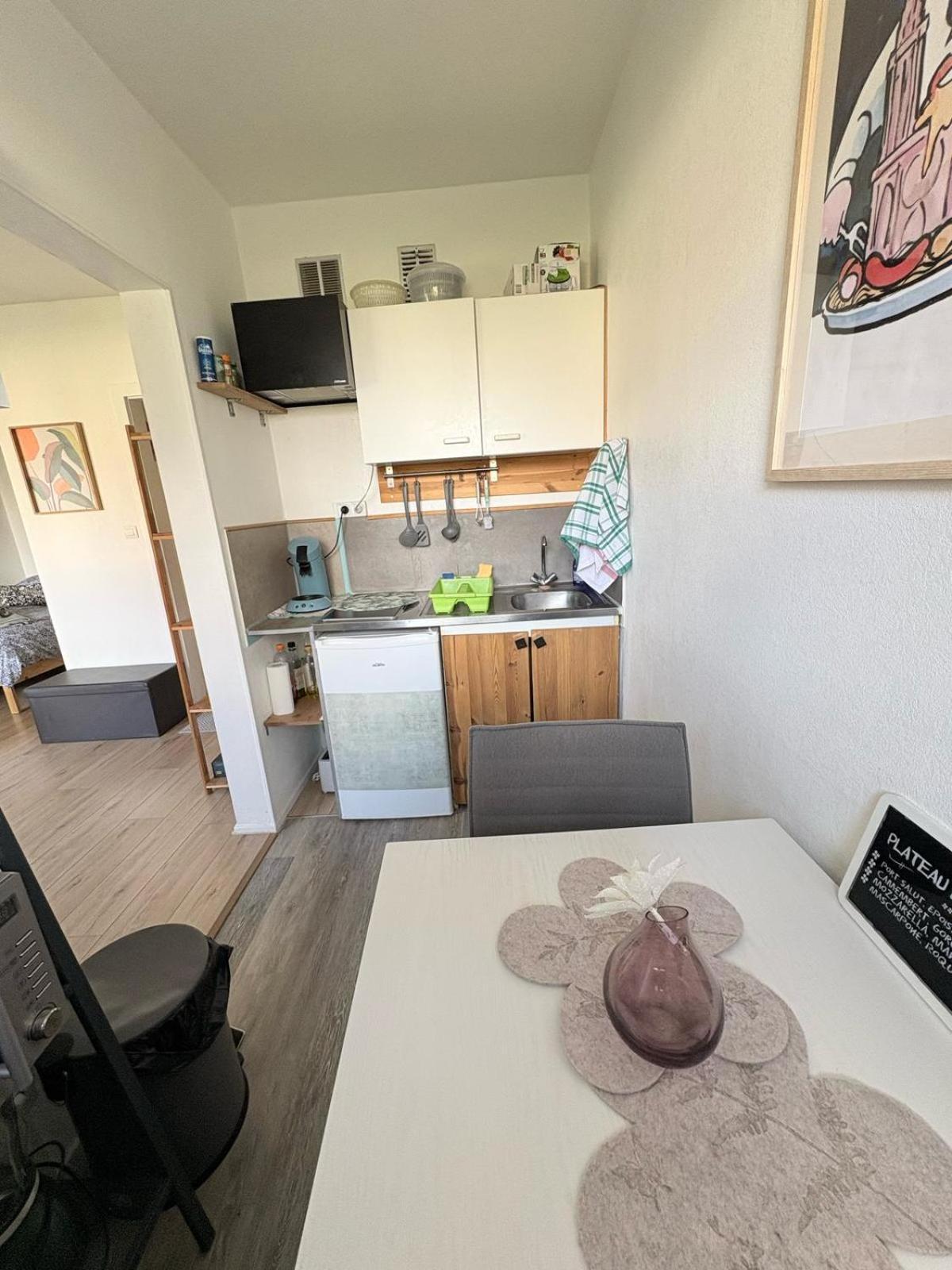 Studio Rdc Calme Avec Parking Ferme Pres Autoroute Et Tram C Mulhouse Exterior foto